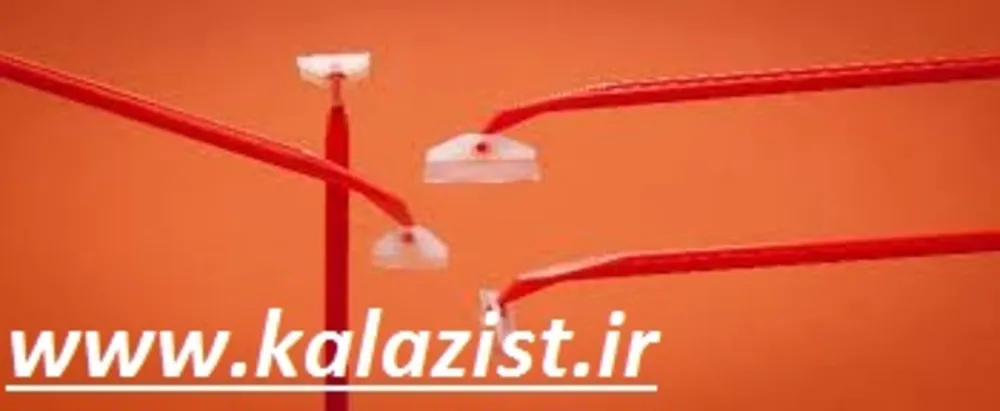 سل اسکراپر 25 سانت کالا زیست